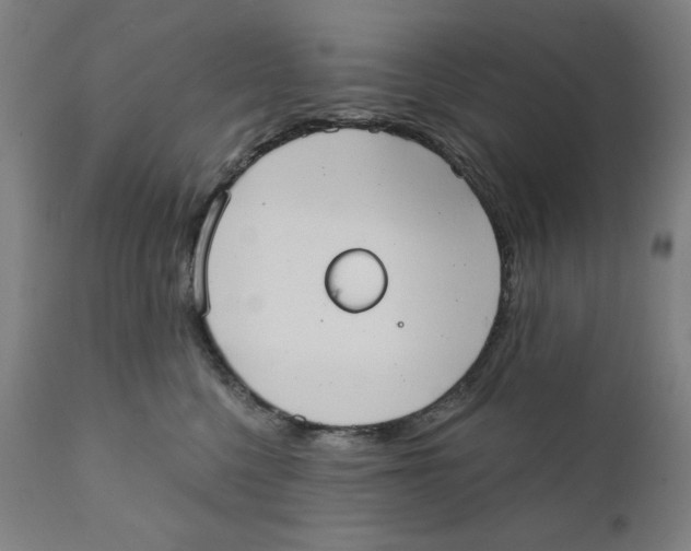 X0000111520568200908111205