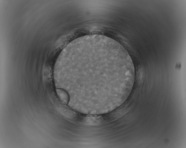 X0000111520571200908111205