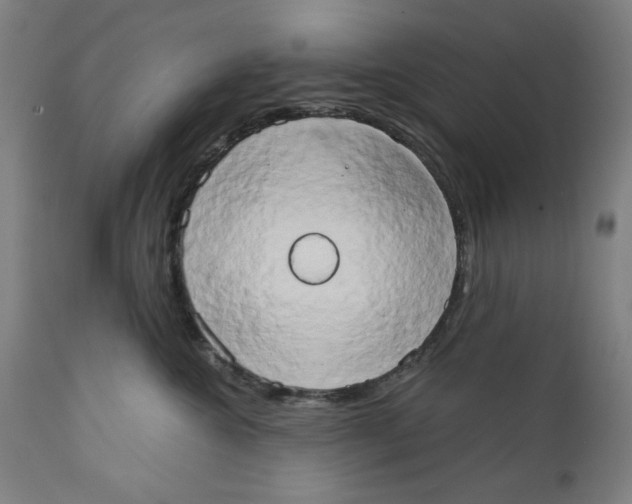 X0000111520572200908111205