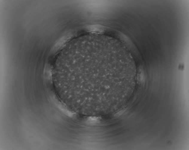 X0000111520573200908111205