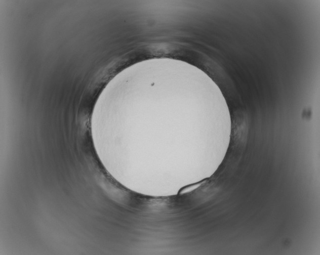 X0000111520574200908111205