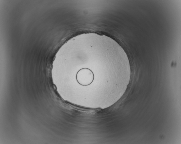 X0000111520576200908111205