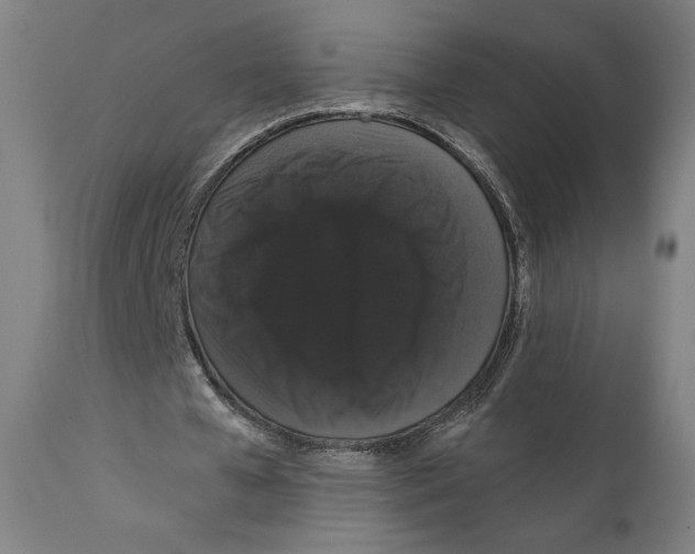 X0000111520577200908111205
