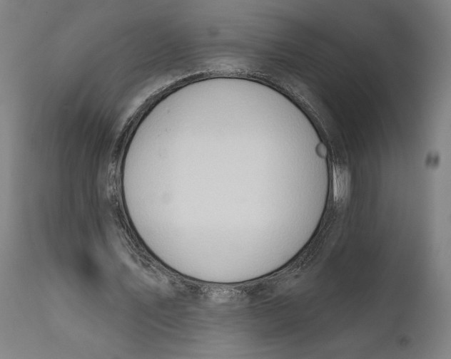 X0000111520579200908111205