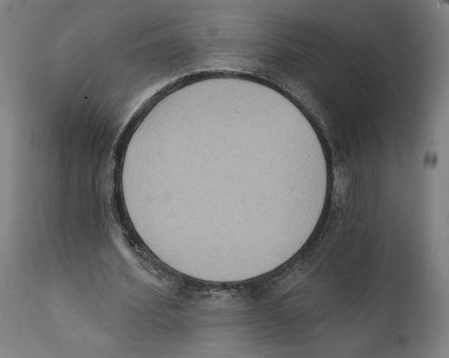 X0000111520580200908111205