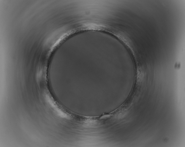 X0000111520581200908111204