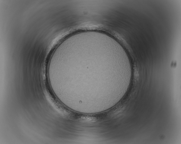 X0000111520582200908111204