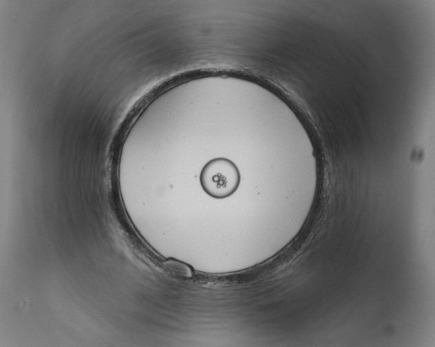 X0000111520584200908111204