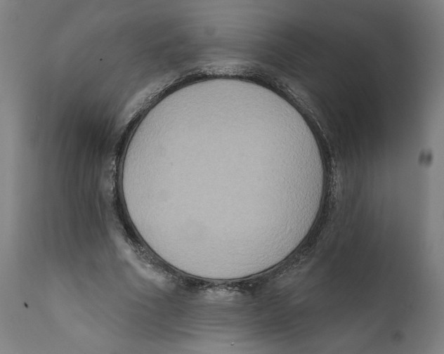 X0000111520586200908111204