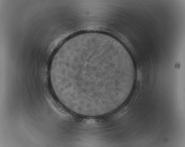 X0000111520588200908111204