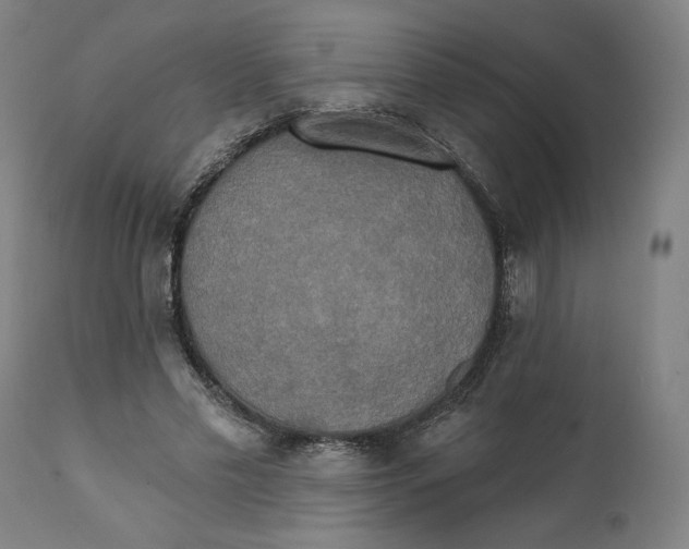 X0000111520589200908111204