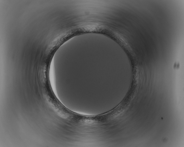 X0000111520590200908111204