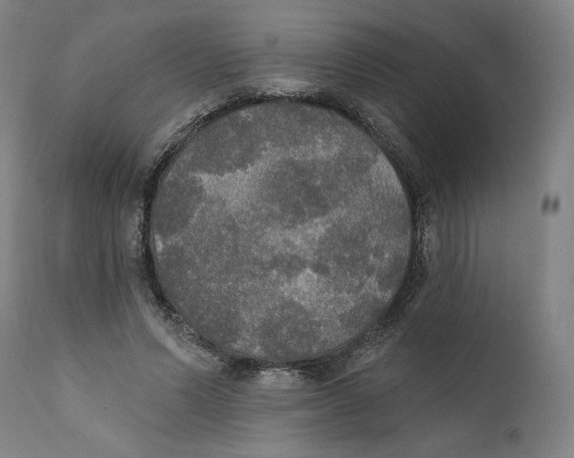 X0000111520591200908111204