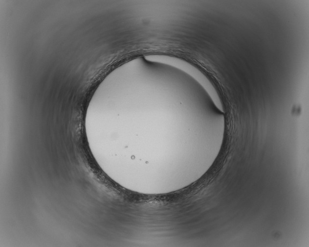 X0000111520593200908111204