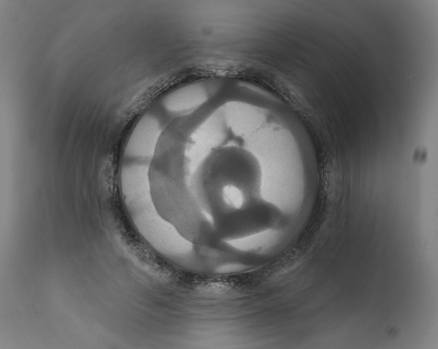 X0000111520594200908111204