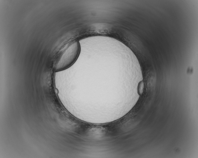 X0000111520595200908111204