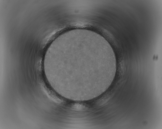 X0000111520596200908111204