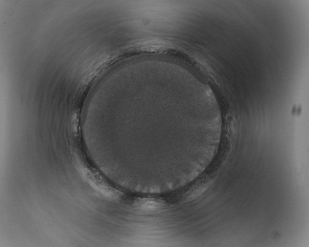 X0000111520597200908111204