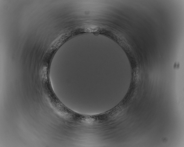 X0000111520598200908111204