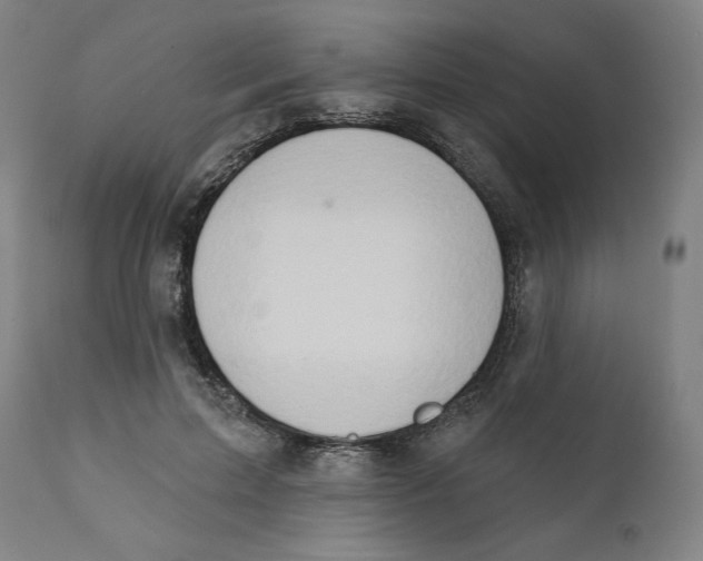 X0000111520599200908111204