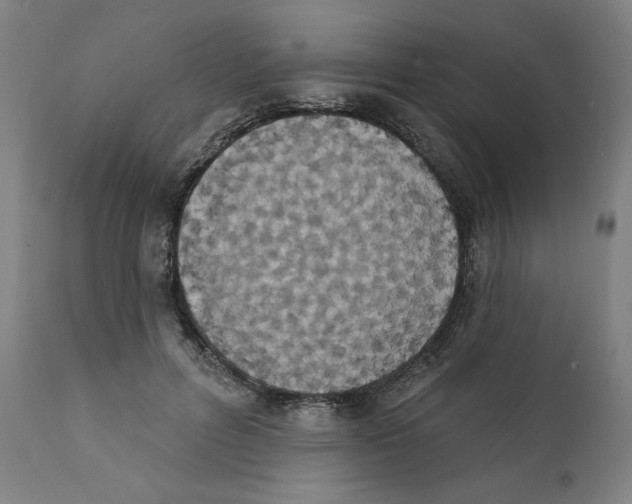 X0000111520600200908111204
