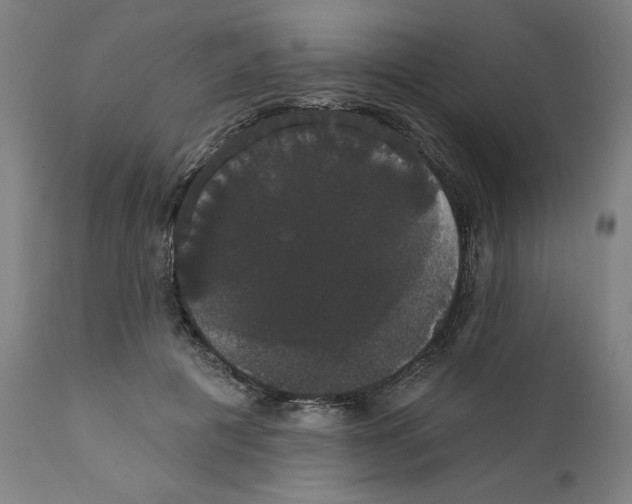 X0000111520601200908111204