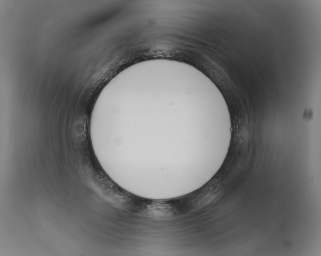 X0000111520603200908111204
