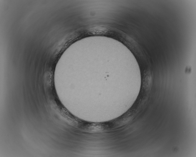 X0000111520604200908111204