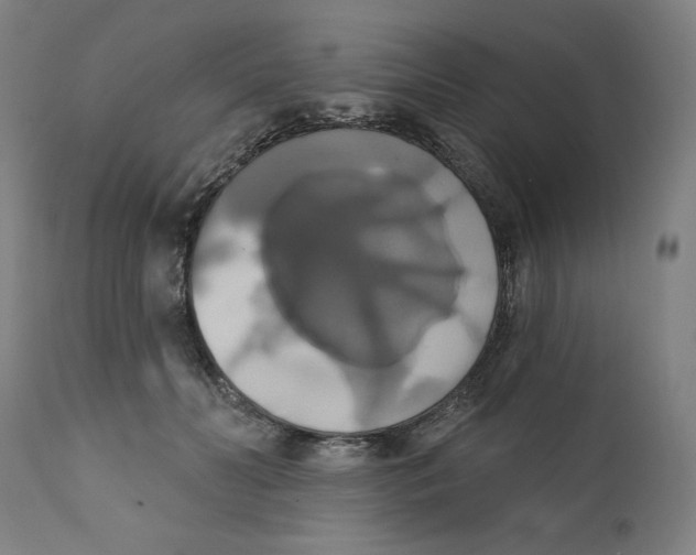 X0000111520606200908111204