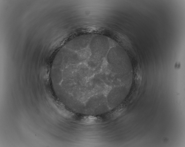 X0000111520607200908111204