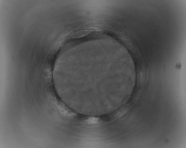 X0000111520609200908111204