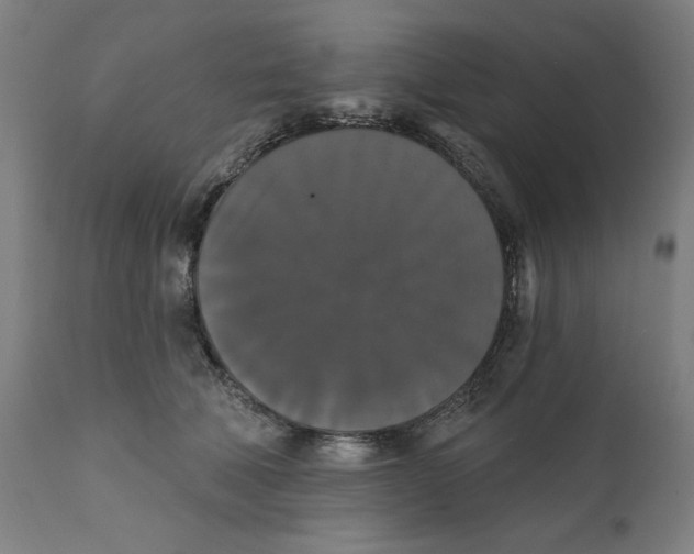 X0000111520610200908111204