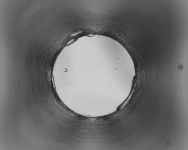 X0000111520613200908111204