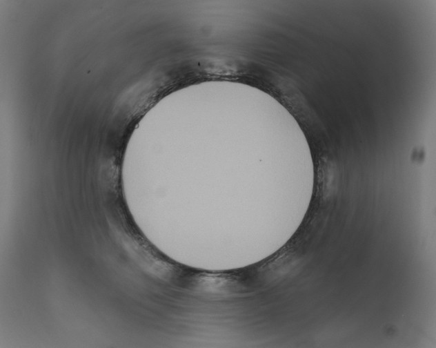 X0000111520614200908111204