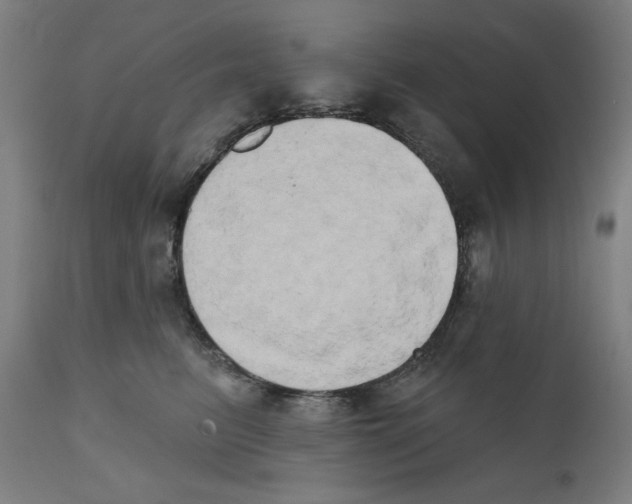 X0000111520615200908111204