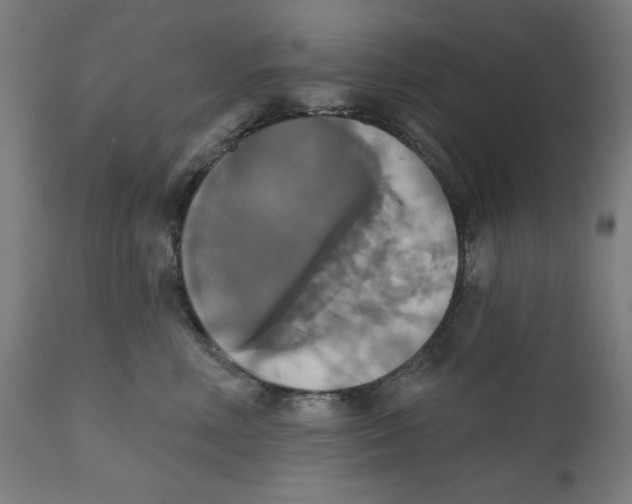 X0000111520618200908111204