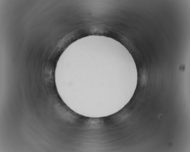 X0000111520619200908111204