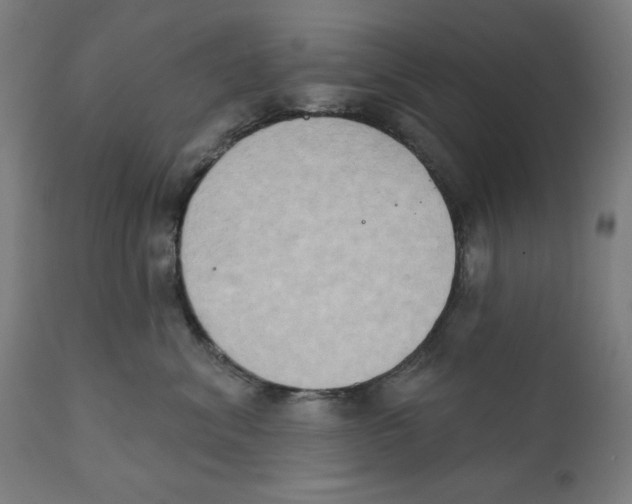 X0000111520620200908111204