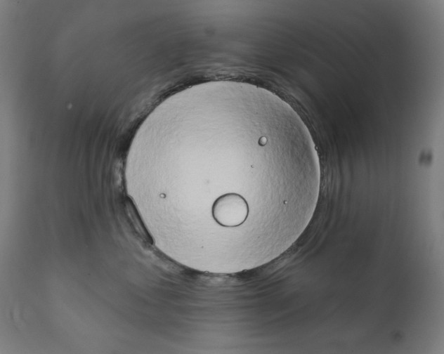 X0000111520621200908111204