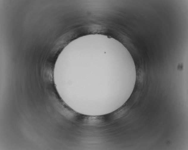 X0000111520622200908111204