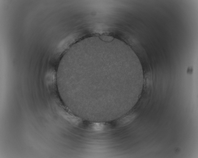 X0000111520623200908111204