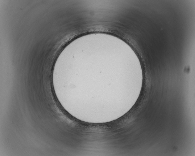 X0000111520625200908111203