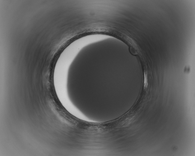 X0000111520627200908111203