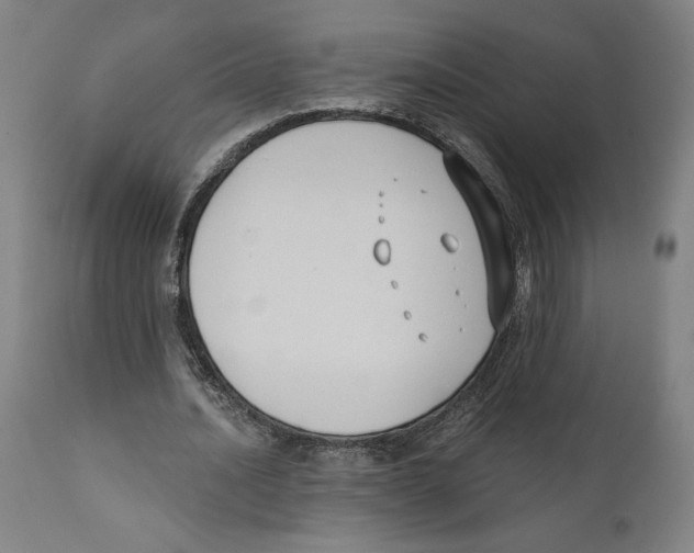 X0000111520628200908111203