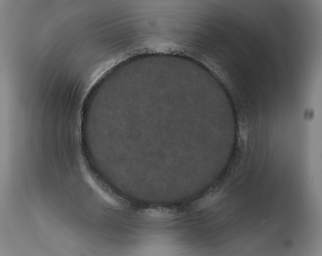 X0000111520630200908111203