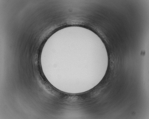 X0000111520631200908111203