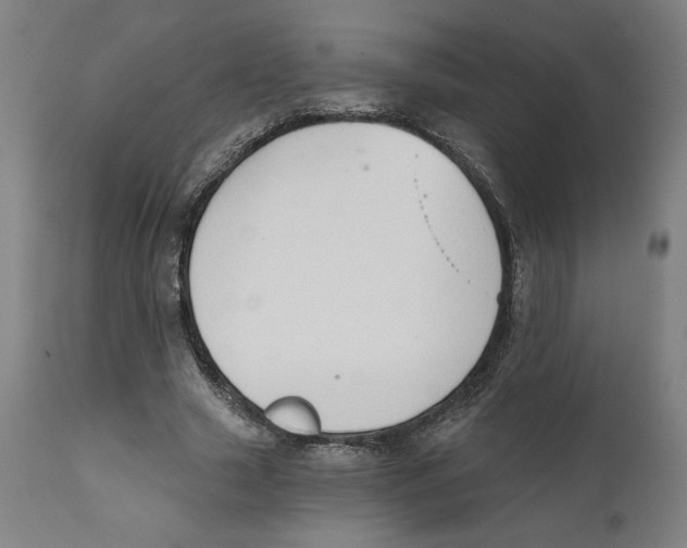 X0000111520633200908111203