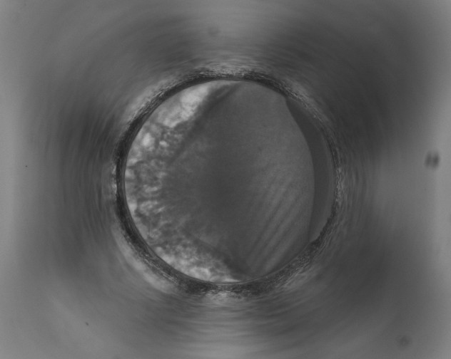 X0000111520634200908111203