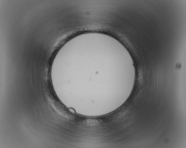 X0000111520636200908111203