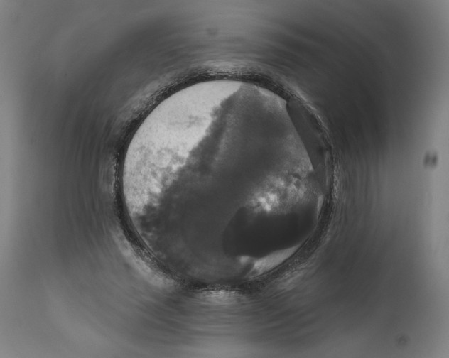 X0000111520637200908111203